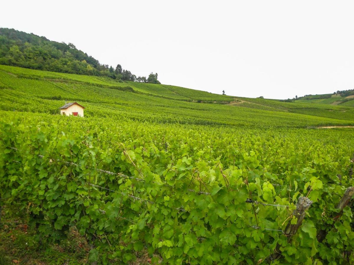 Gite Galerie Le 1892 Au Coeur Du Vignoble Ribeauvillé Eksteriør bilde