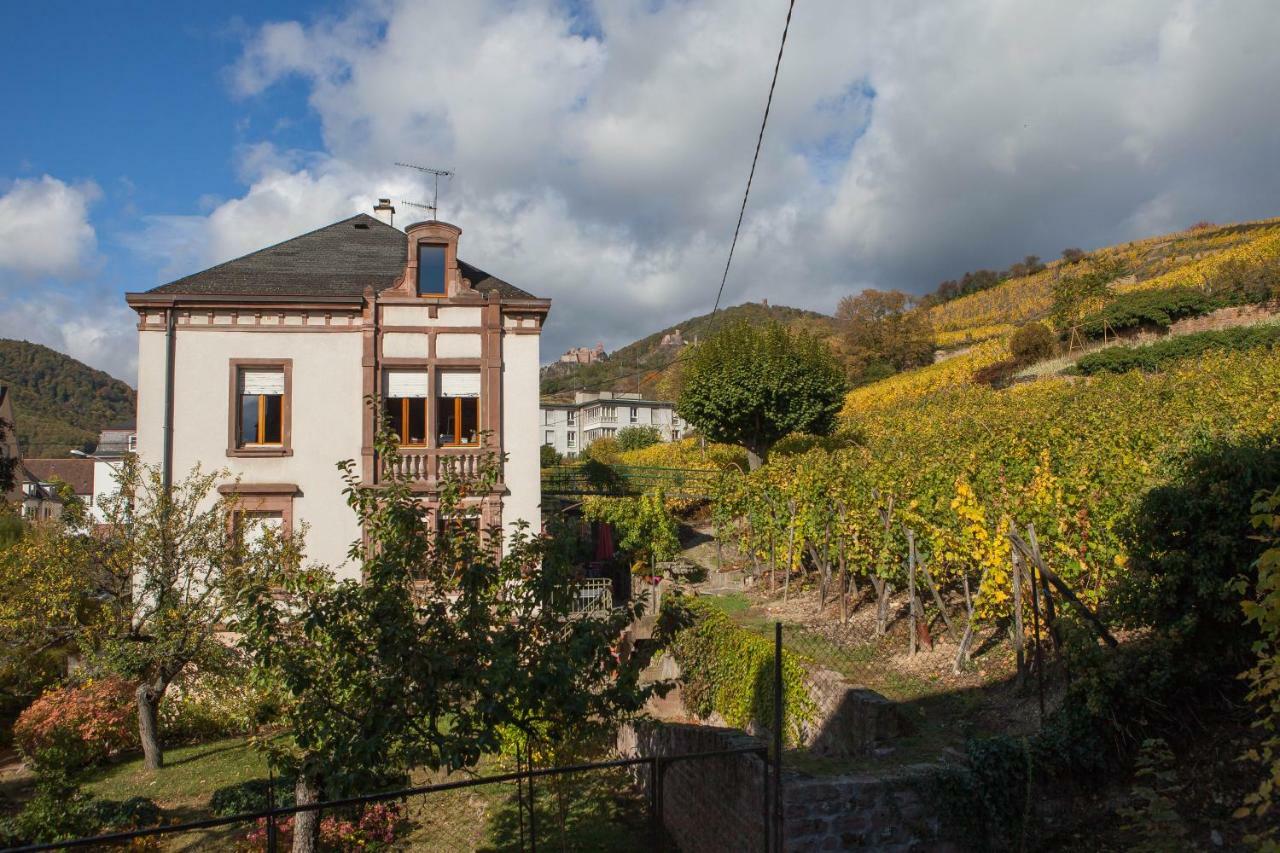 Gite Galerie Le 1892 Au Coeur Du Vignoble Ribeauvillé Eksteriør bilde