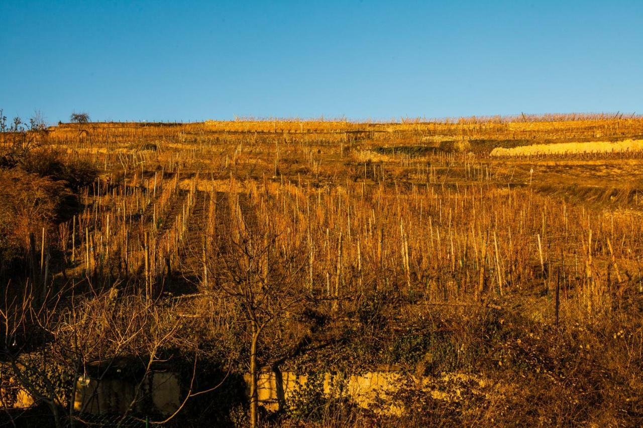 Gite Galerie Le 1892 Au Coeur Du Vignoble Ribeauvillé Eksteriør bilde